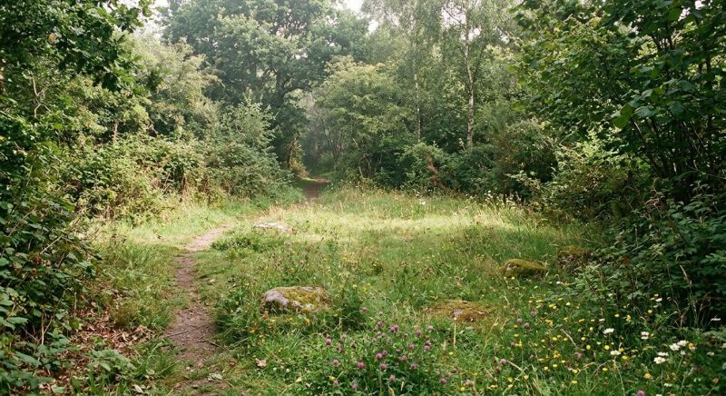 Houston, TX