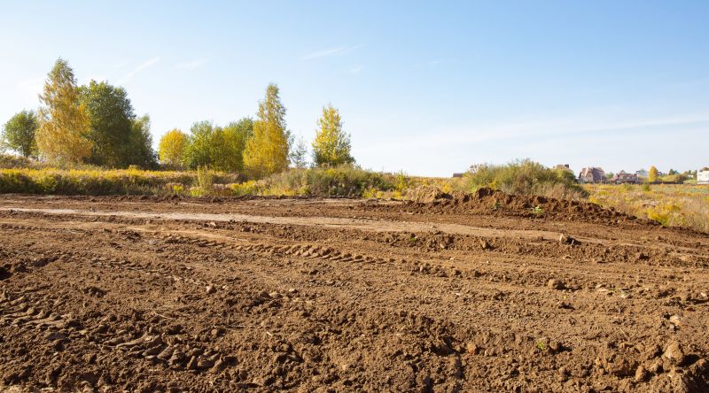 Building Site Clearing in Utah County, UT
