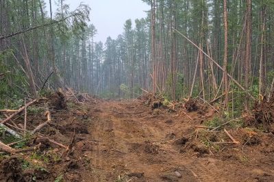 Commercial Lot Clearing in Gwinnett County, GA