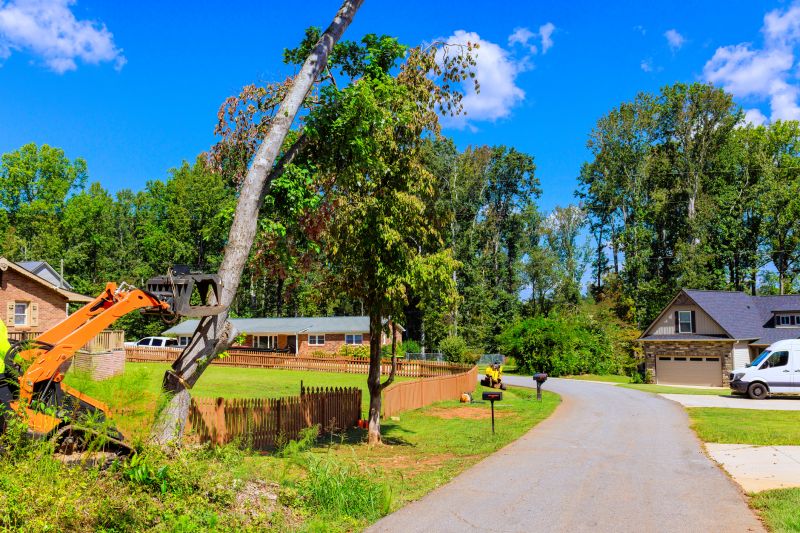 Emergency Tree Removal in Doylestown, PA