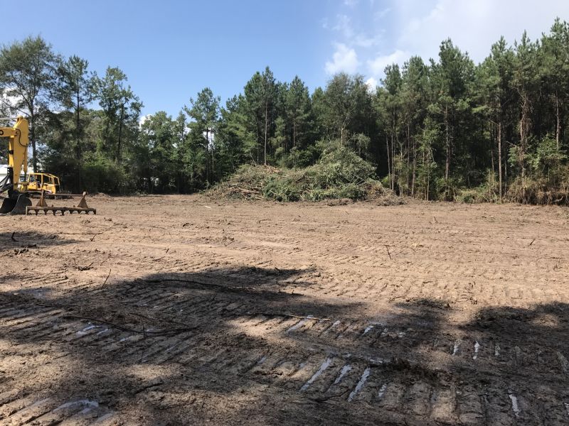 Get Professional Land Clearing To Promote Environmental Health!