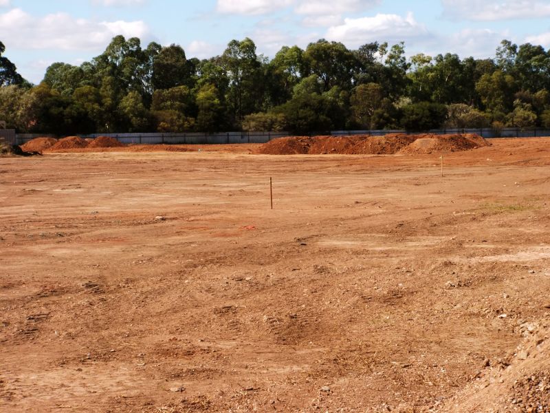 Land Clearing Service